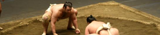 sumo